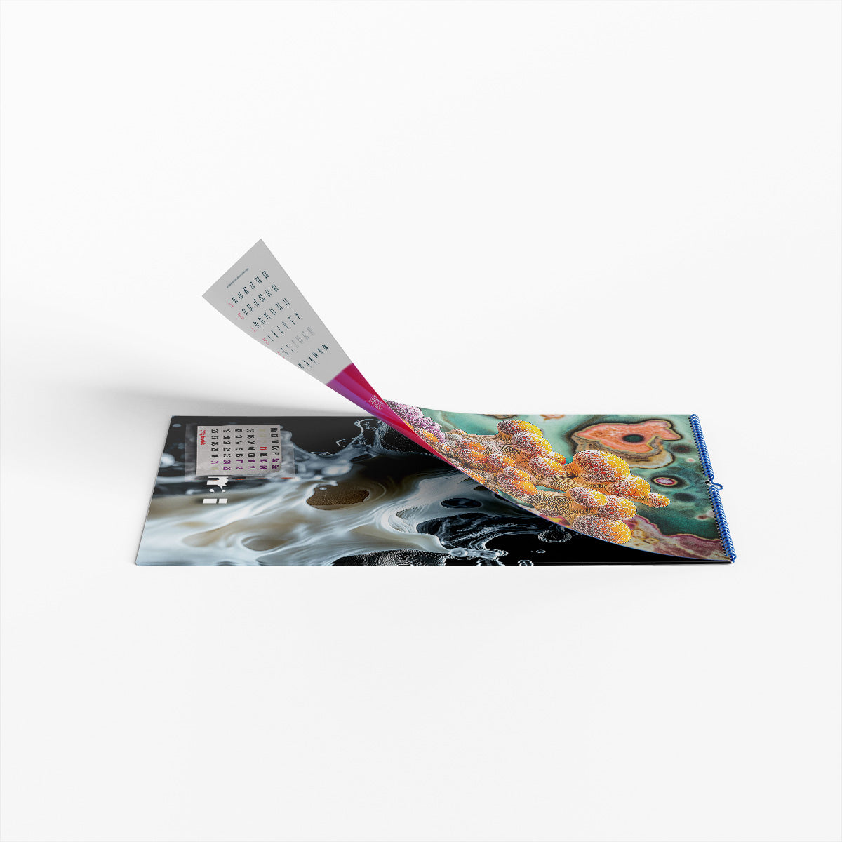 ◤◢ calendar SCHLEIMPILZE/SLIME MOULDS 2025 ➽ 01-(UN)REAL