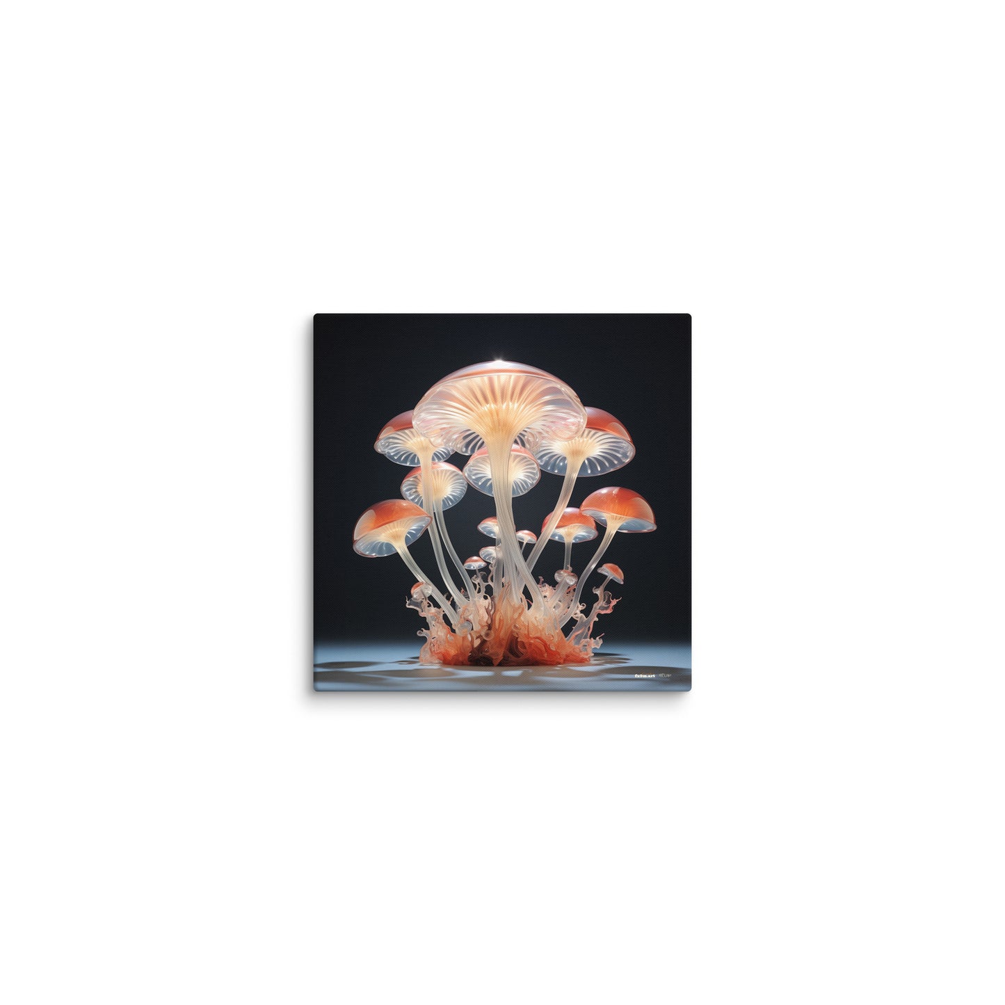 ◤◢ ATOMIC ON CANVAS ➽ 0816.1102 ❱❱ 049