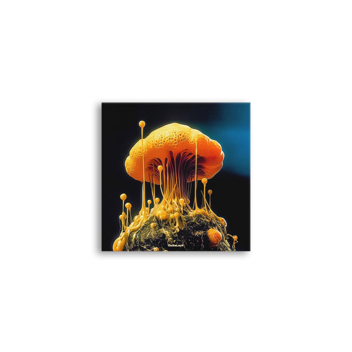 SCHLEIMPILZ ON CANVAS ➽ 03 DAS ERHABENE HAUS