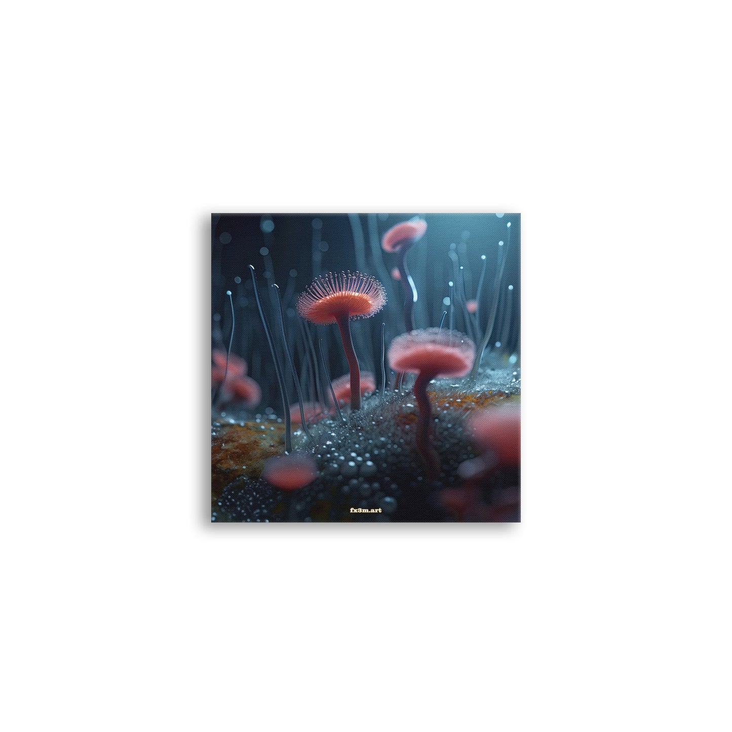 SCHLEIMPILZ ON CANVAS ➽ 27 ES IST DA!