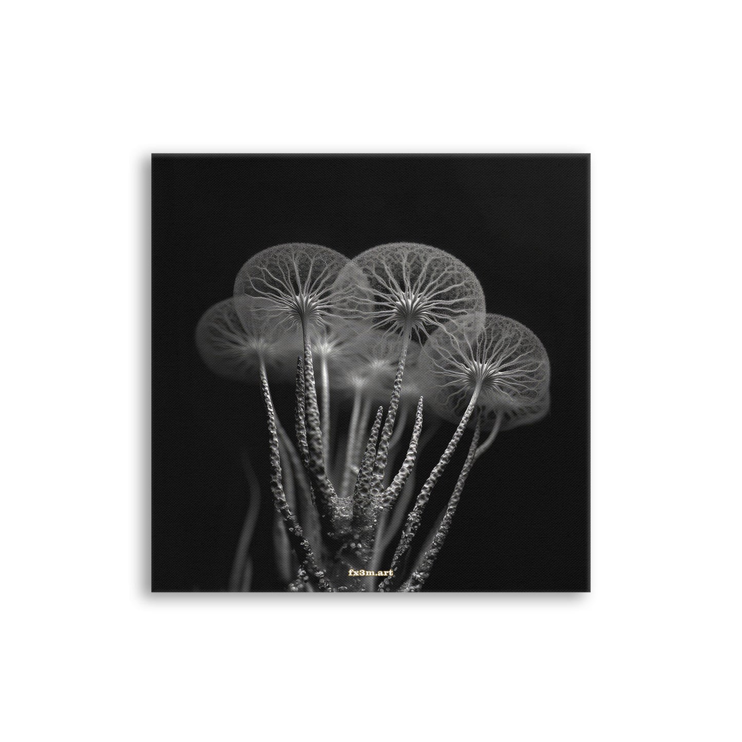 SCHLEIMPILZ ON CANVAS ➽ 34 STROHBLUMEN